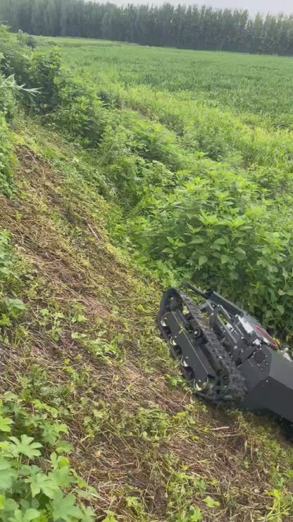 Remote-controlled lawnmower T1